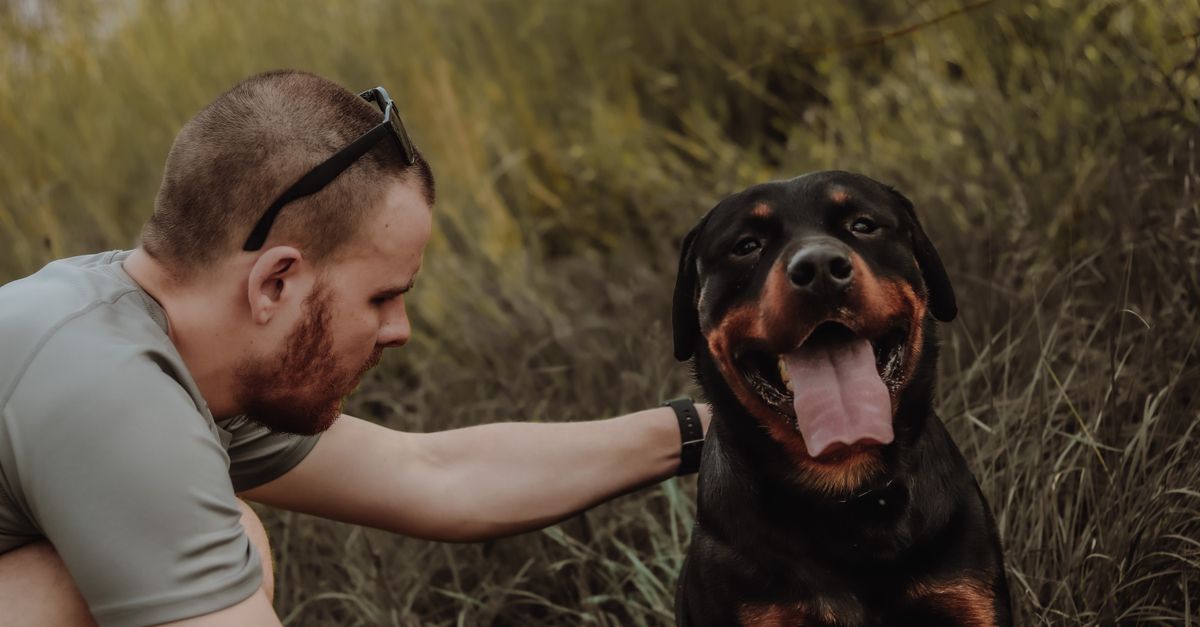 A man in a casual setting petting a happy Rottweiler in nature.