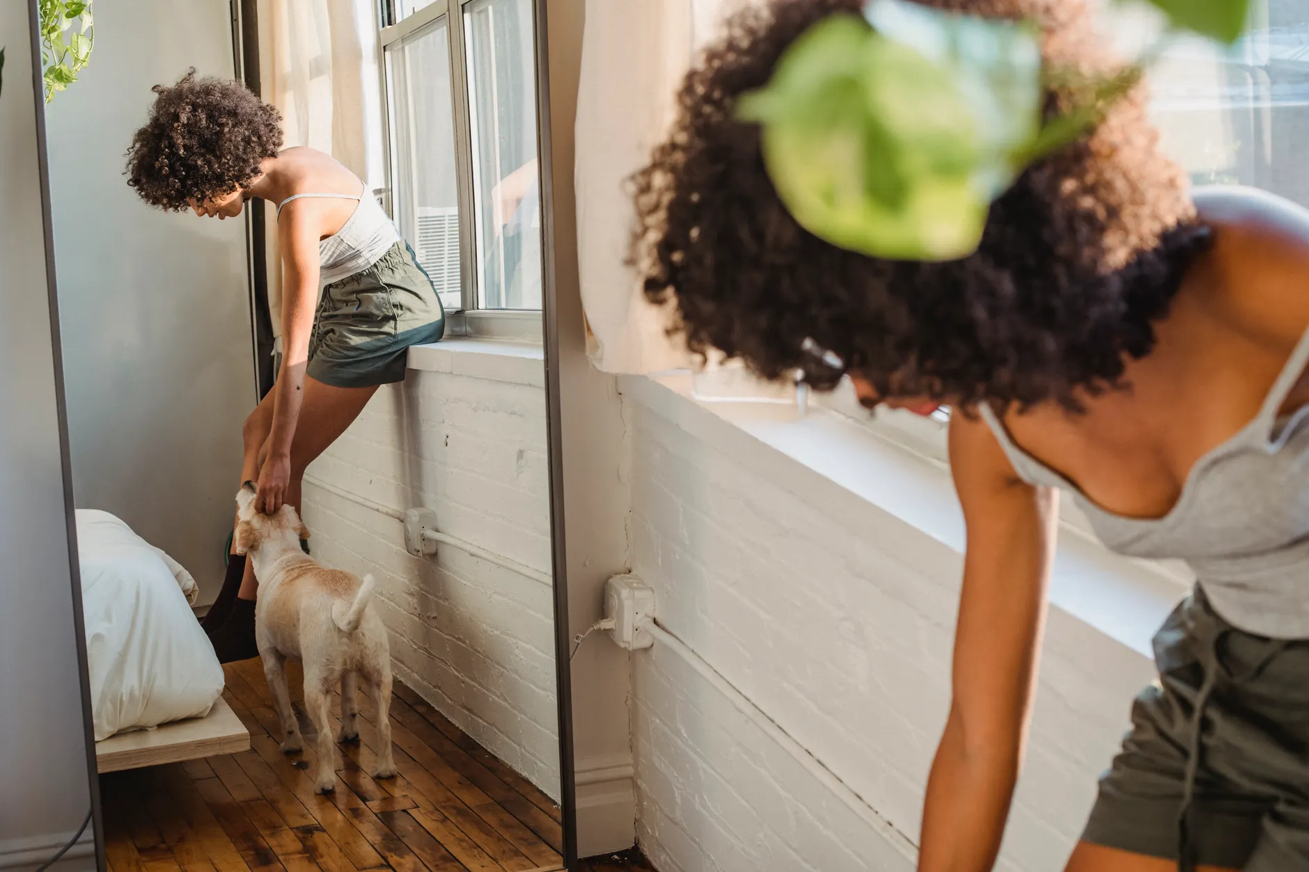 Side view of crop unrecognizable African American female with afro hairstyle in casual outfit stroking dog and reflecting in mirror