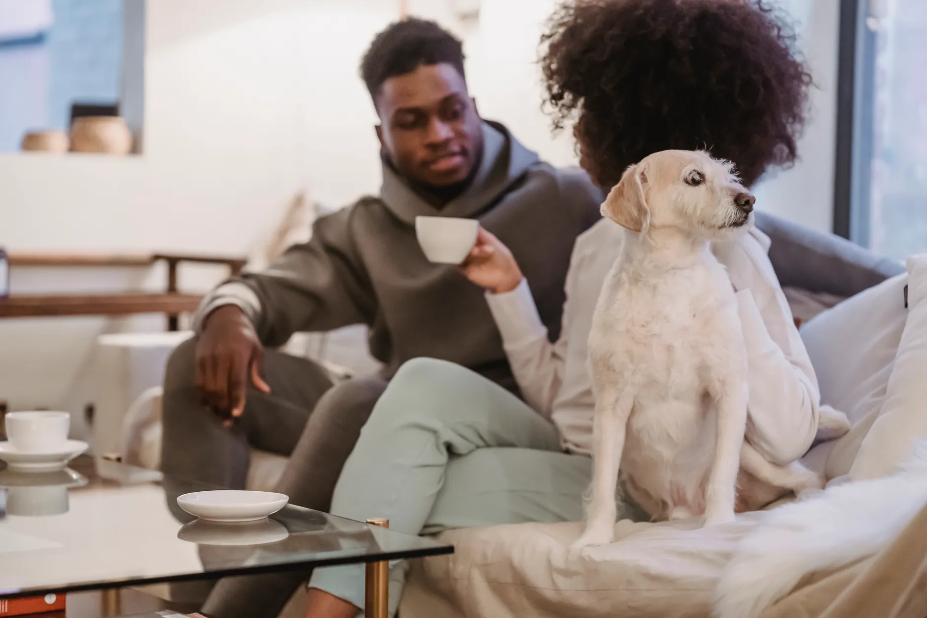 Crop anonymous African American girlfriend with cup of coffee on sofa with funny curious dog in lounge