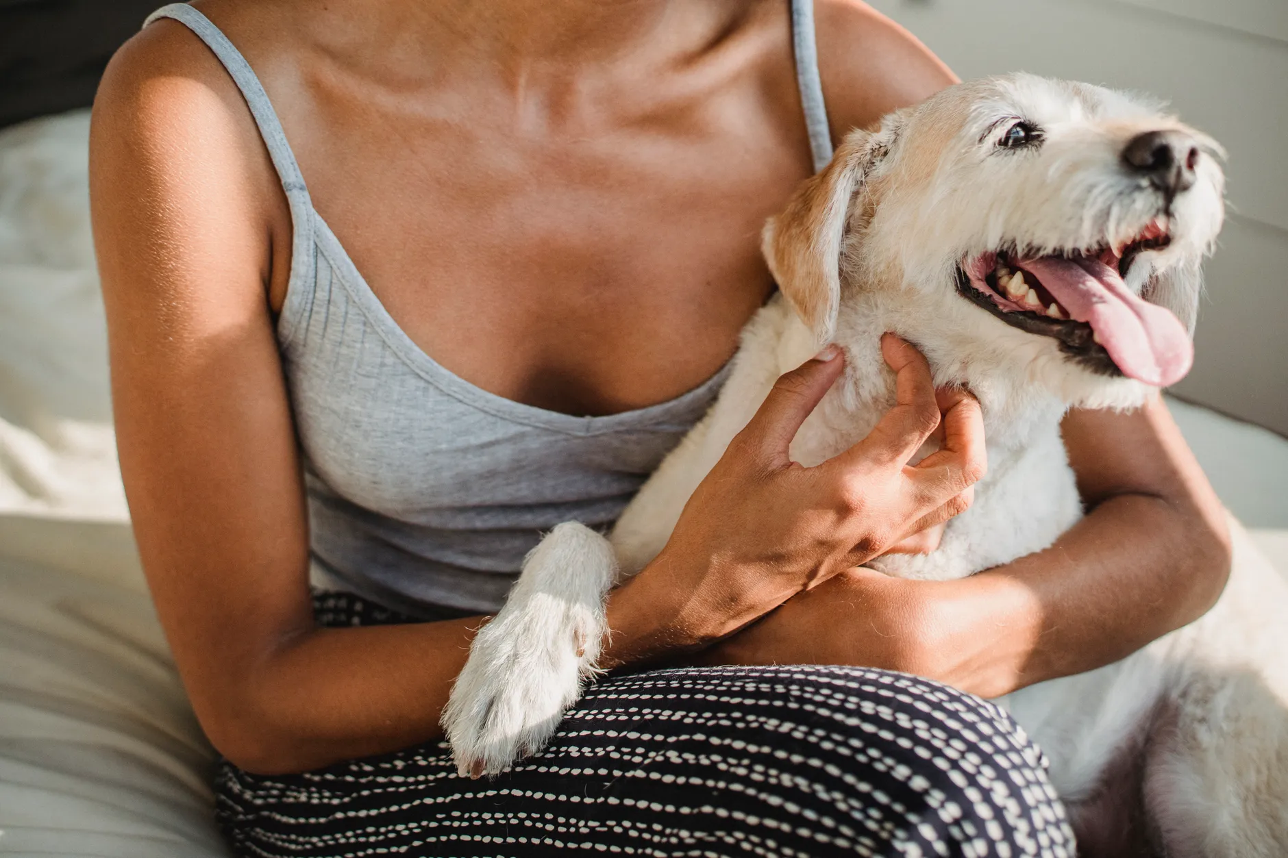 Crop anonymous ethnic female cuddling dog with tongue out while resting in bedroom in sunlight