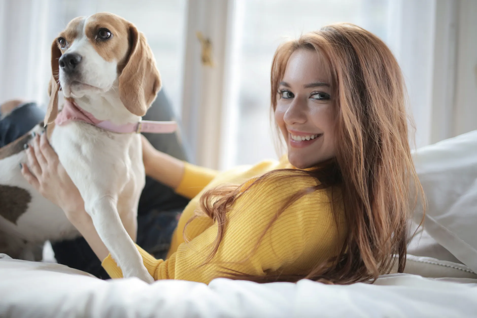 Positive young lady in casual warm yellow sweater lying on bed near window with obedient beagle dog and looking at camera in modern apartment