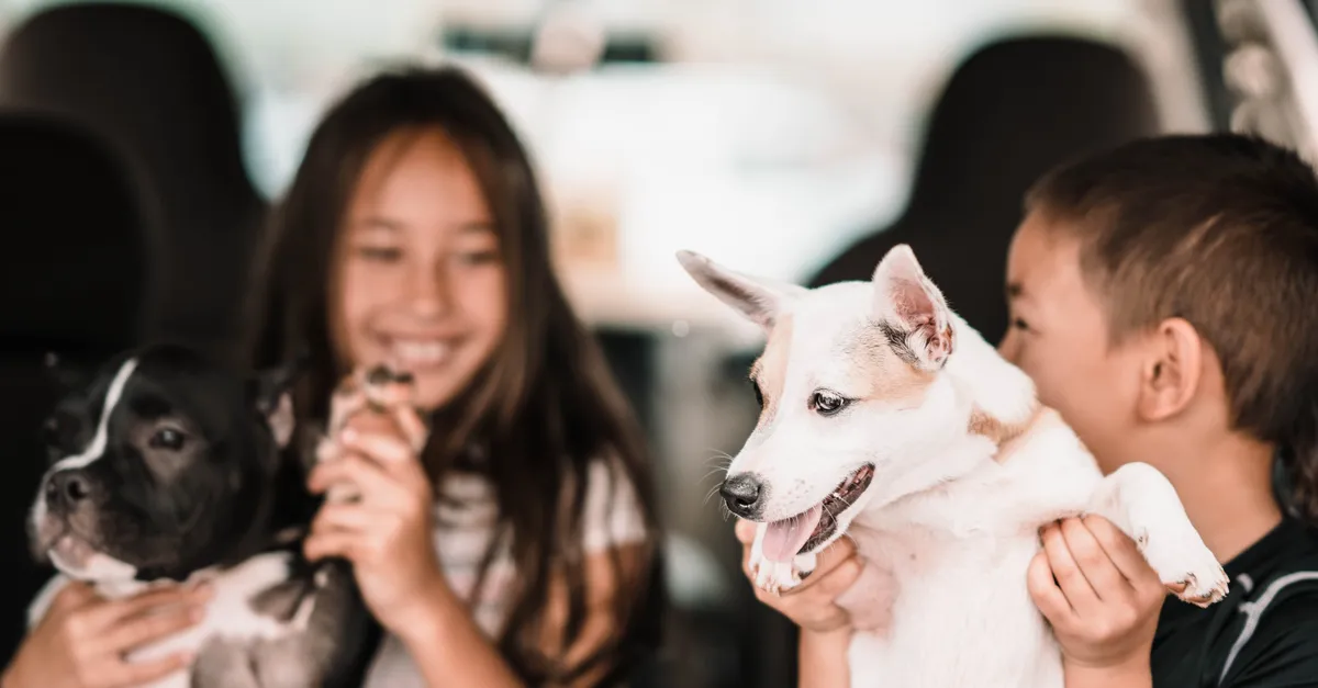 Two children joyfully play with dogs in a car, capturing a lively and affectionate moment.