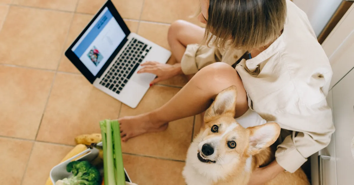 Woman sits with corgi and laptop, surrounded by groceries, browsing online at home.