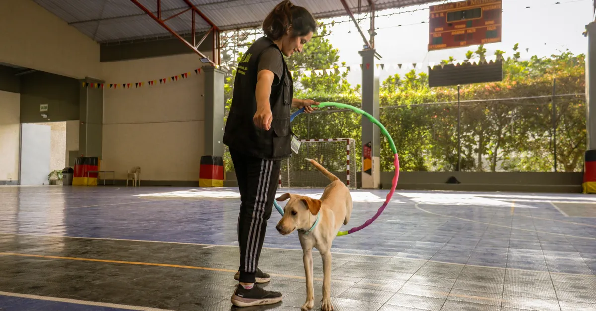 Woman training a dog with a hoop inside a gymnasium, promoting pet skills.