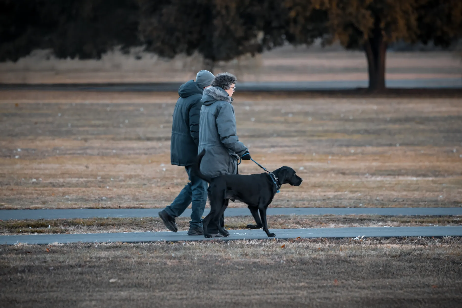 Two adults walk a dog during dawn in Stamford park, showcasing a peaceful morning routine.