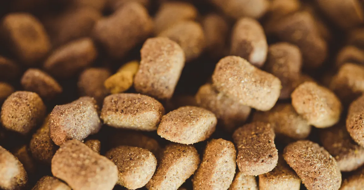 A close-up view of brown dog kibble, highlighting texture and variety.