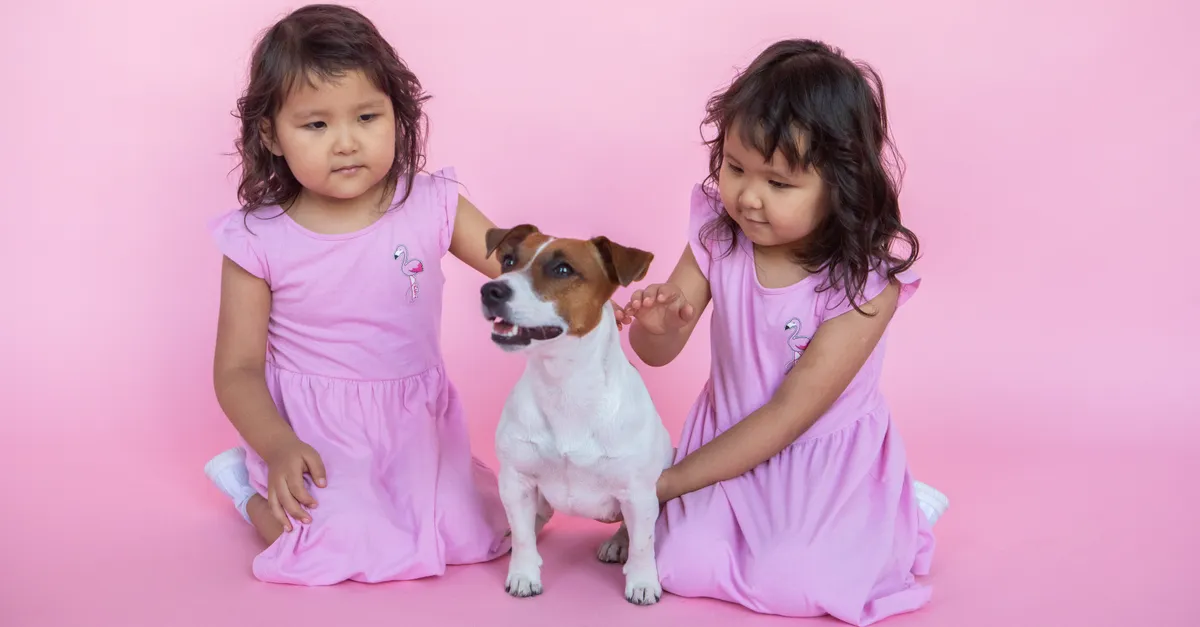 Twin girls pet a Jack Russell Terrier on a vibrant pink background.