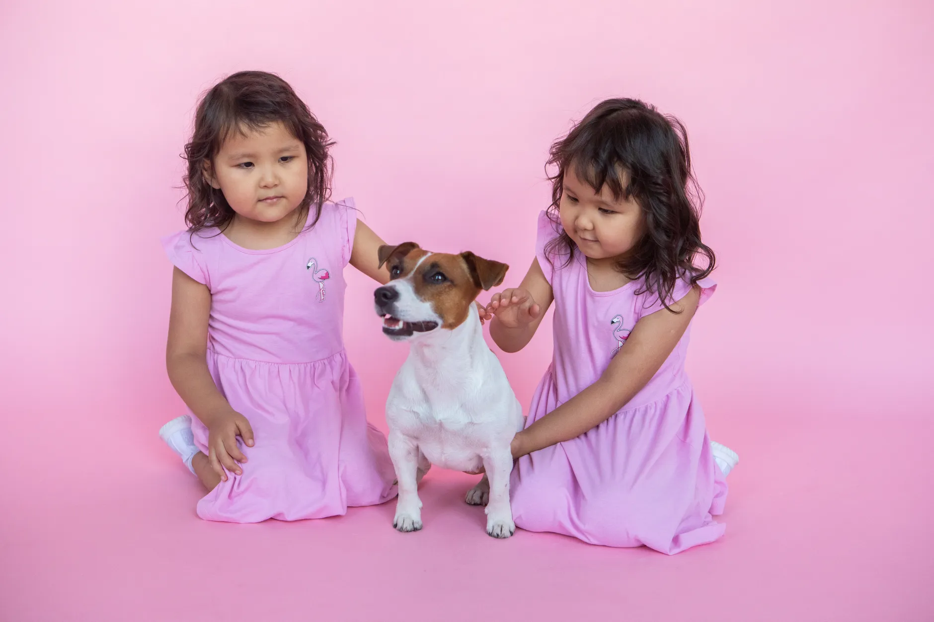 Twin girls pet a Jack Russell Terrier on a vibrant pink background.